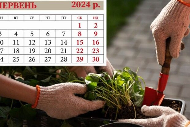 8 червня: яке сьогодні свято й що не можна робити