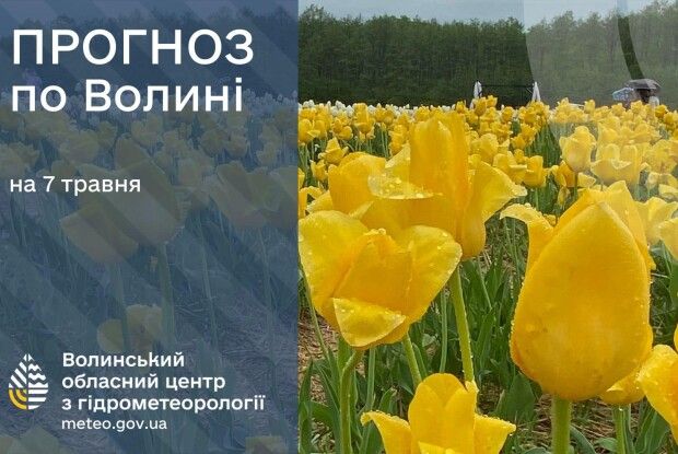 Після дощів на Волині очікуються заморозки на поверхні ґрунту
