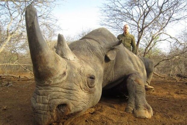 Один із лідерів «За життя» вбиває екзотичних тварин