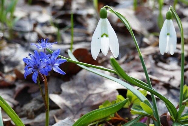 Якою буде погода на вихідні на Волині