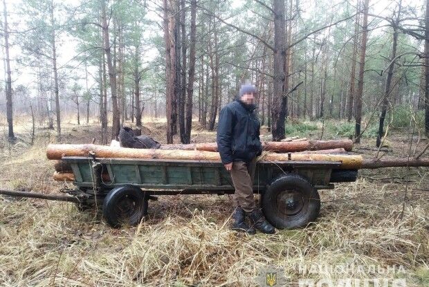 39-річному жителю Рівненщини загрожує кримінал за незаконну порубку лісу