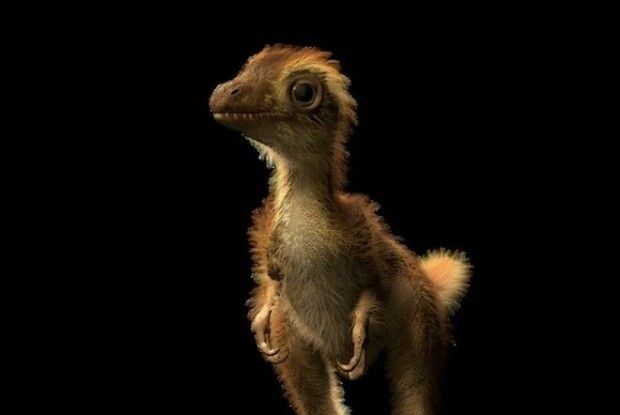 Науковці вперше знайшли скам’янілості дитинчати тиранозавра