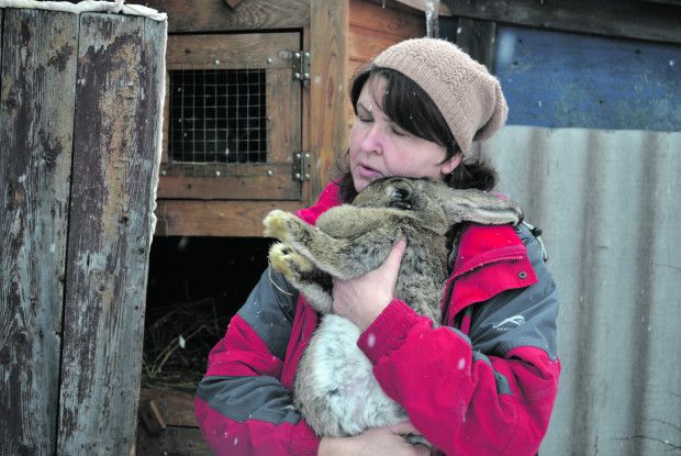 «Кроленят годувала дитячим харчуванням»