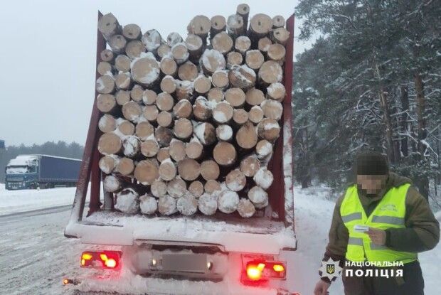 На Волині знову затримали викрадачів лісу (Фото)