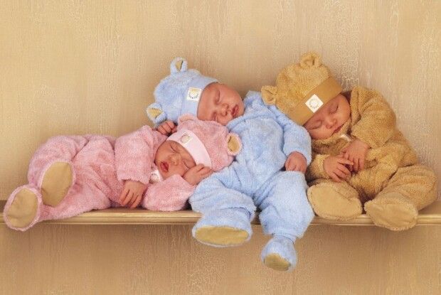 Життя триває і в умовах війни: у Горохові народилися гарнесенькі діточки