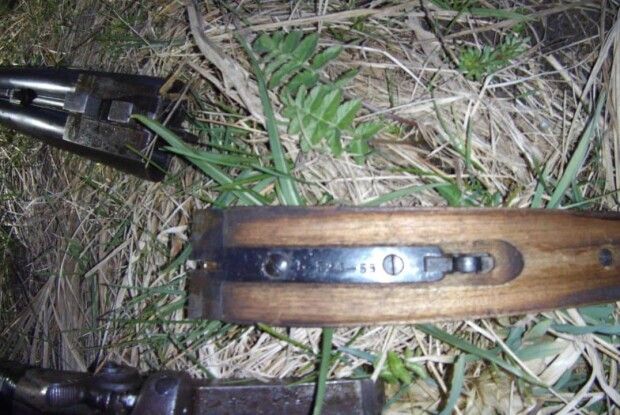 У лісі на Волині затримали любителів незаконного полювання
