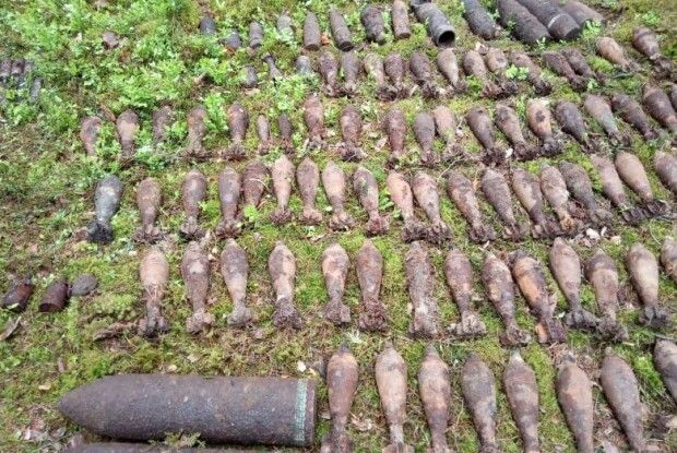 На Старовижівщині розміновують ліс