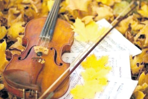 Історія про Маестро, скрипку,  осіннього кота і не тільки: «Треба було свою дитину народити, тоді б мали доньку…»