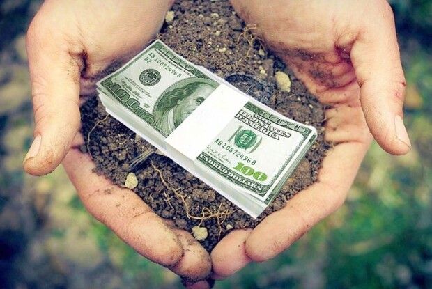 З 1 липня аграрні площі можна продавати!