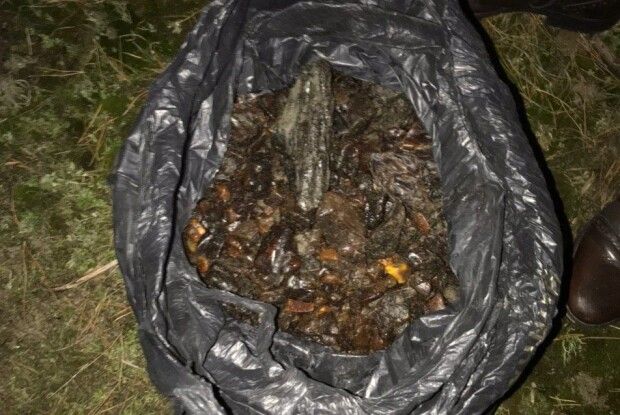 У мешканця Рівненщини на Волині вилучили 8 кг незаконно видобутого бурштину