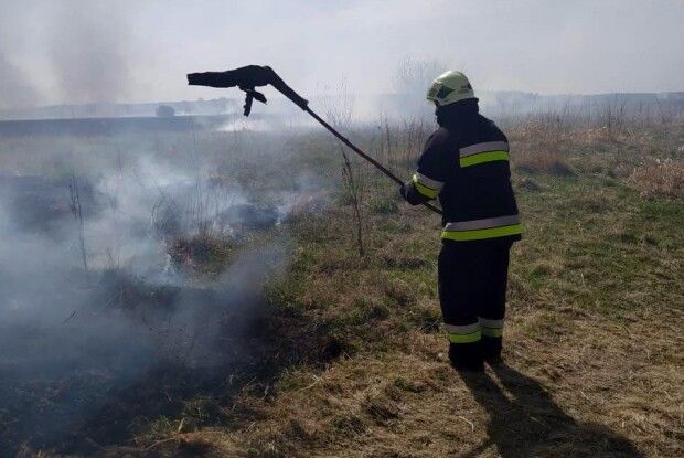 На Волині рятувальники ліквідували масштабну пожежу сухостою