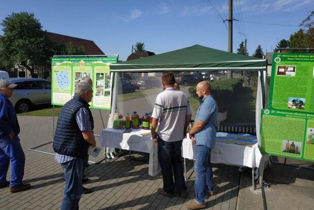 У Торчині проходить День поля (Фото)