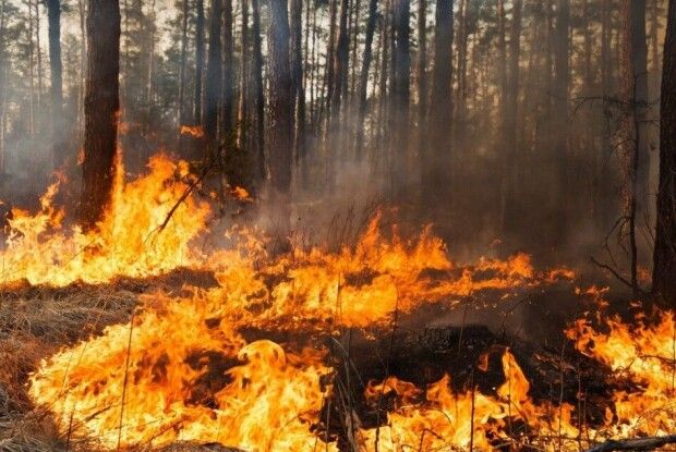 У Луцькому районі - надзвичайно високий рівень пожежної небезпеки!