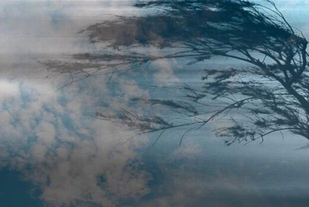 Не паркуватися біля дерев і не ходити: волинян попередили про сильні вітри 