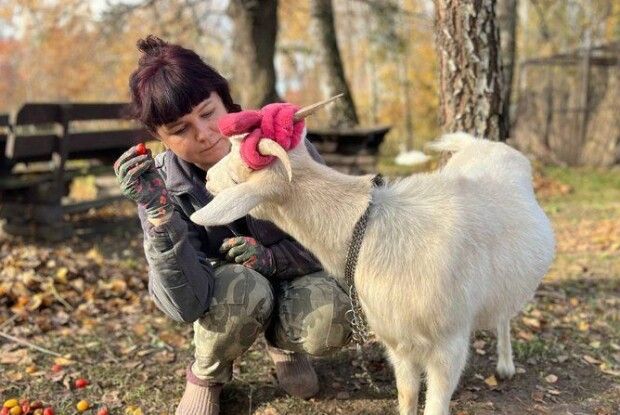 Як Луцький зоопарк готується до зими (Відео)