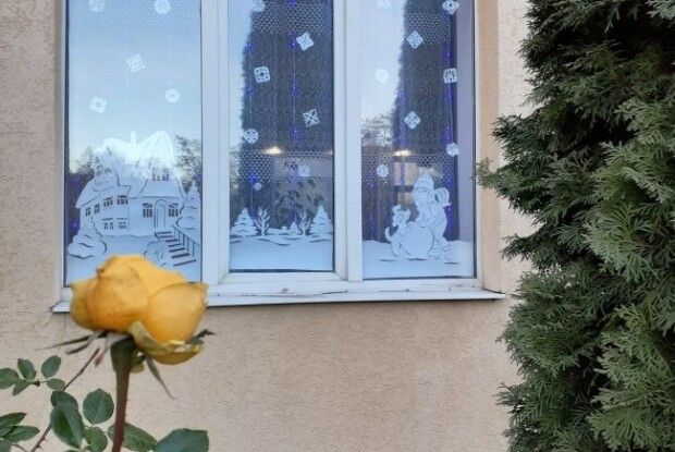 У Рівному перед Новим роком на шкільній клумбі розквітла троянда