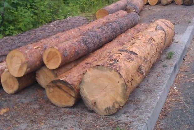 За три колоди волинянин заплатить 12 тисяч гривень