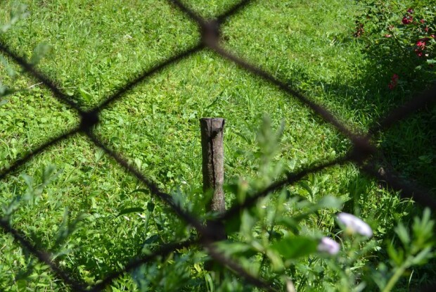 Лучани Світлана та Юрій Кресаки багато років не можуть відвоювати свою власність