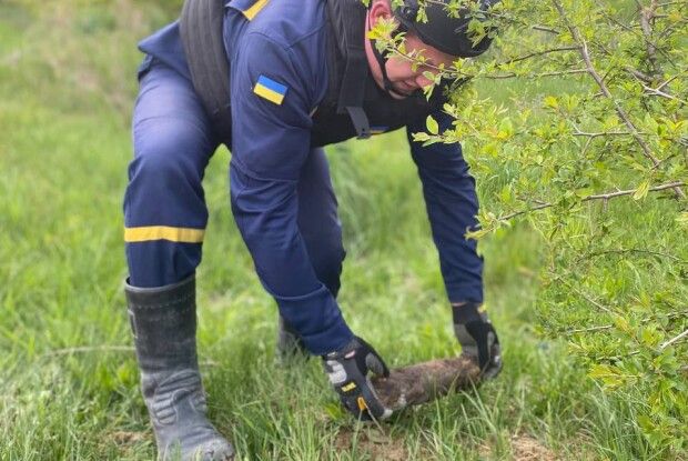 Волиняни на городі знайшли снаряди 