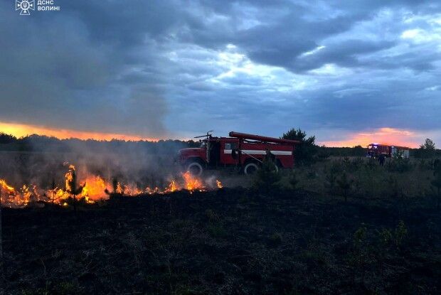 На Волині внаслідок людської недбалості зайнялася суха трава