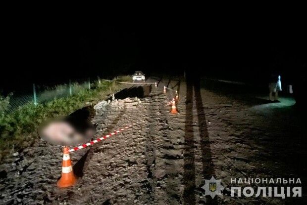 На Волині внаслідок летальної ДТП загинула пенсіонерка