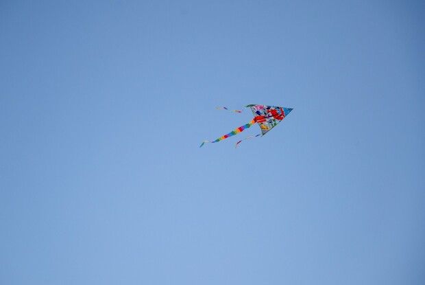 Біля Луцька влаштували фестиваль повітряних зміїв (Фото)