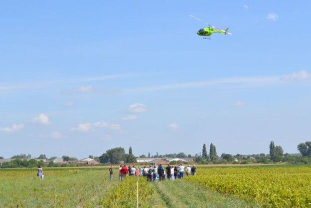 Волинську картоплю знає пів України!