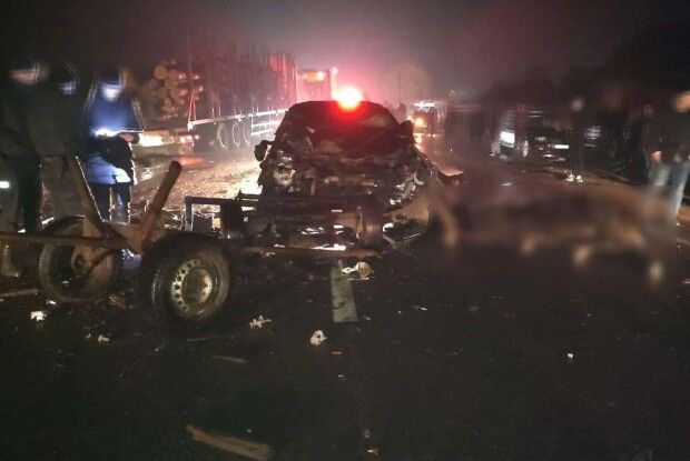 На Рівненщині в ДТП за участю авто і підводи постраждало 8 людей, коні загинули (Фото 18+)