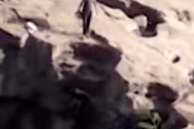 В Індії чоловік впав з водоспаду, намагаючись зробити захопливе селфі 