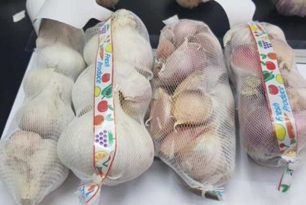 Україна експортувала першу партію часнику до Великої Британії