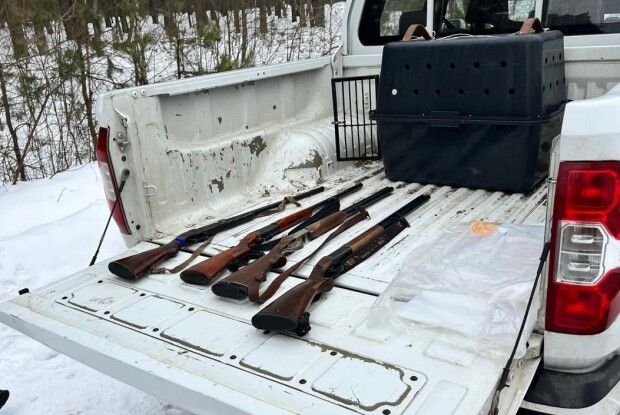 Мисливська зброя та сліди крові: на Волині затримали трьох браконьєрів