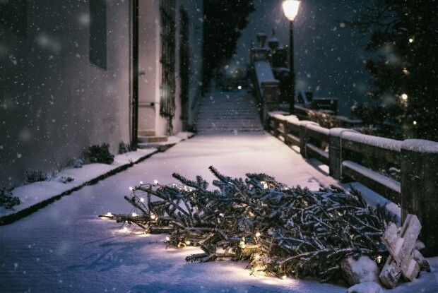 Мороз до 22 градусів: яку погоду варто очікувати на зимові свята