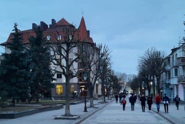 Дерева у центрі Луцька тепер як у австрійському Відні чи німецькому Ліппе (Фото)