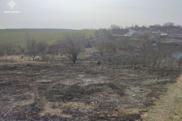 Поблизу Луцька зловили жінку, яка спалила 3 гектари трави у садовому товаристві