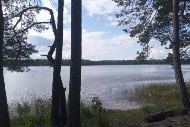 У Білому озері втопився молодий чоловік