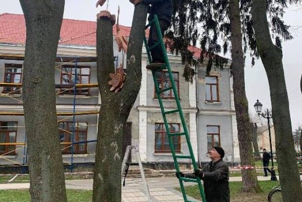У парку Володимира встановили перші дерев’яні скульптури