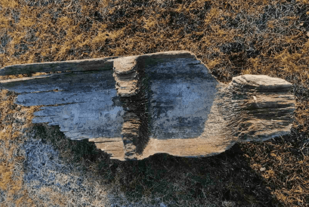 Сенсаційна знахідка на Волині – з річки підняли човен з минулих століть