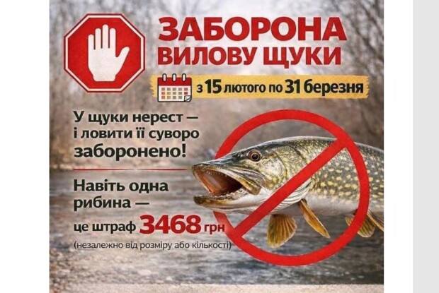 Одна щука на Волині тепер коштує майже 3500 гривень