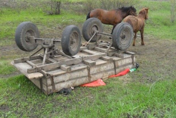 На Волині кінь помчав учвал і перекинув віз із подружжям літнього віку 