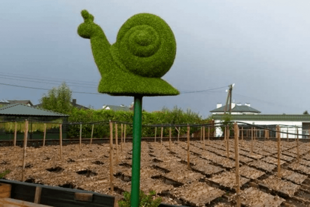 Через коронавірус подружжя українських підприємців з'їло декілька десятків змій