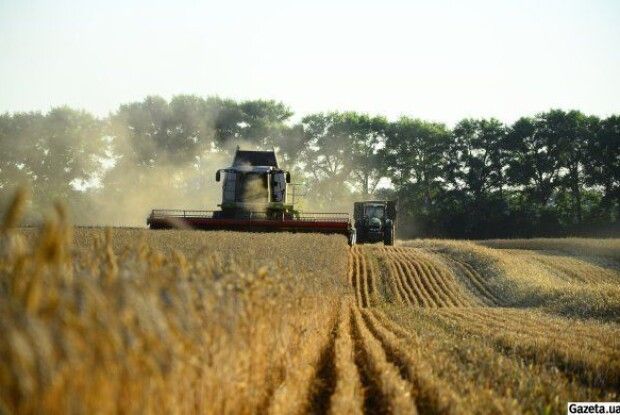 Україна більше не буде житницею: терміново потрібно вжити заходів