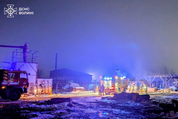 У Луцьку вночі палала господарська споруда