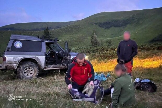 На волинянку в горах напав собака чабанів