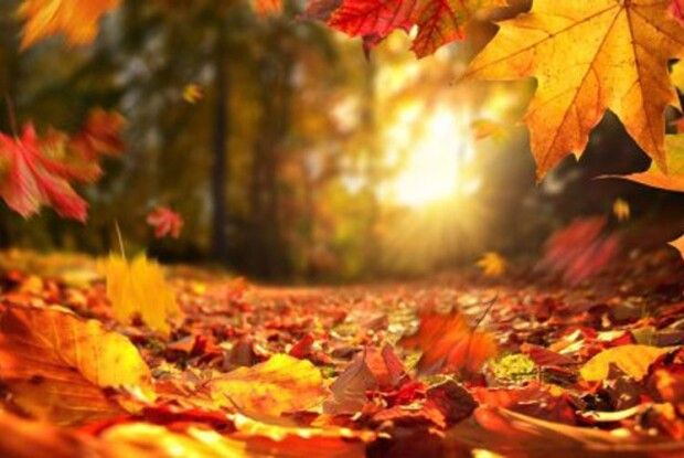 Волинь накриє похолодання і дощі: прогноз погоди 