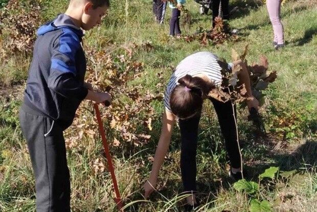 Дубів на Волині побільшає. Попрацювали школярі Володимир-Волинського району