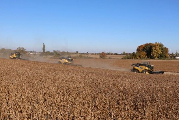 Аграрії Волині зібрали понад 1 млн тонн зерна