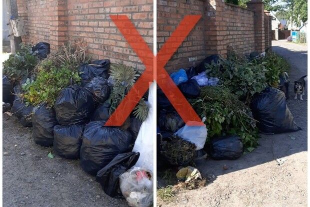 У Луцьку полюють на «зозуль» зі сміттям