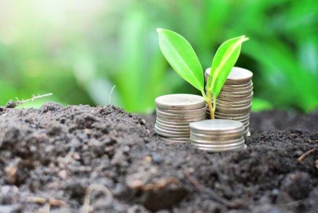 Скільки громади Волині отримали від плати на землю в січні 