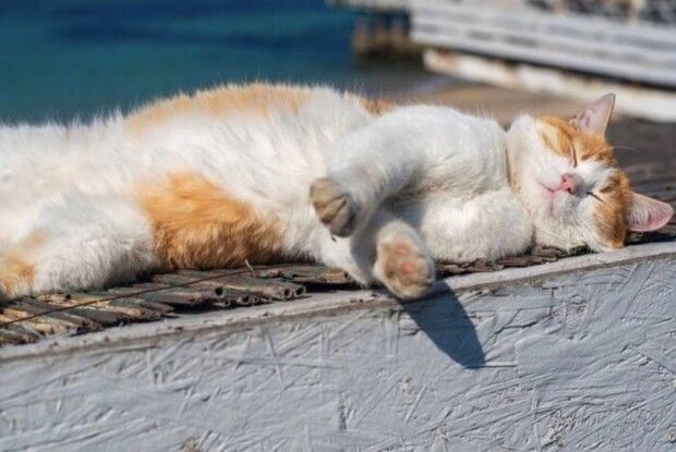 У Луцьку зафіксували черговий температурний максимум