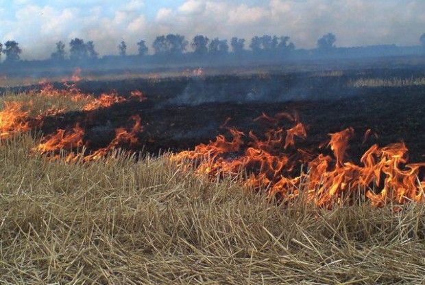 На Волині разом зі стернею згоріла і … вбиральня